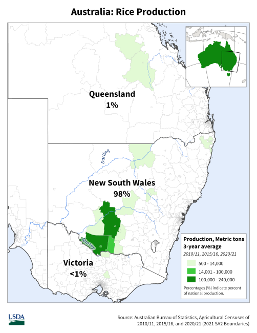 Australia Rice