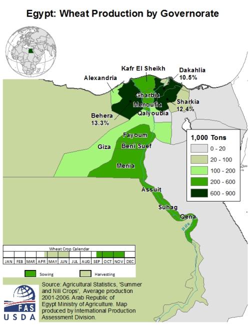 Egypt Wheat