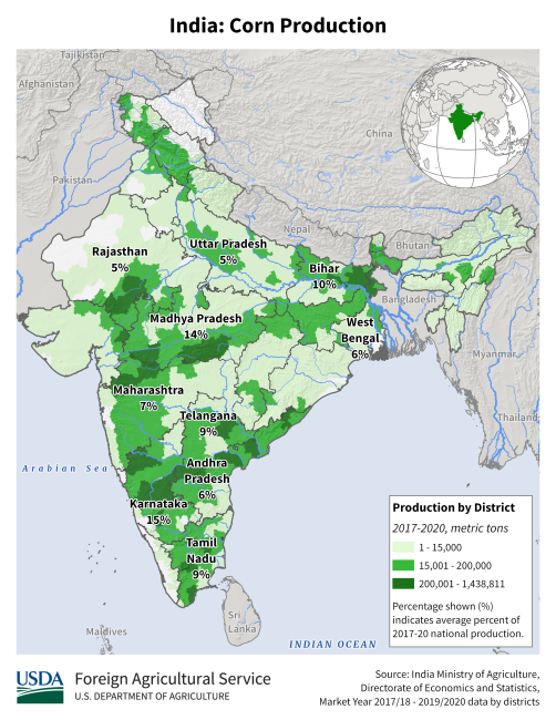 India Corn