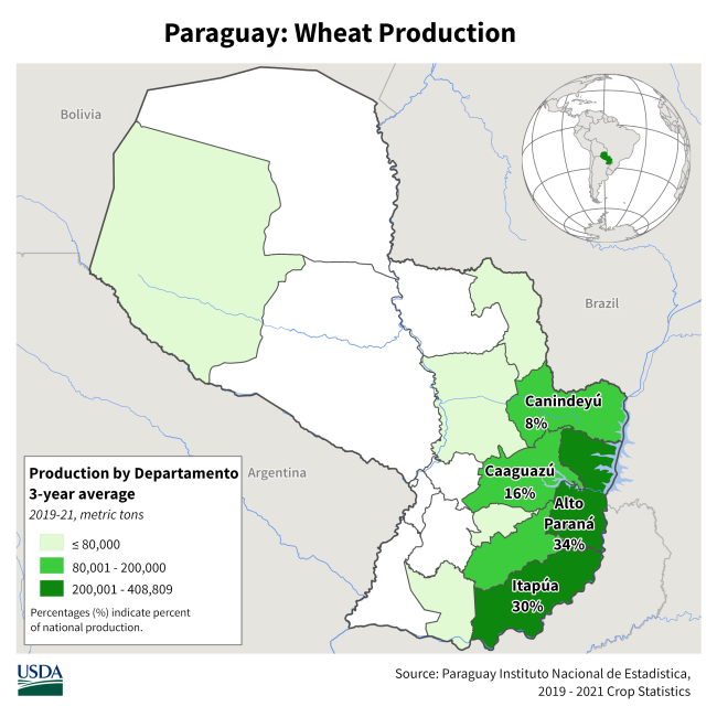 Paraguay Wheat