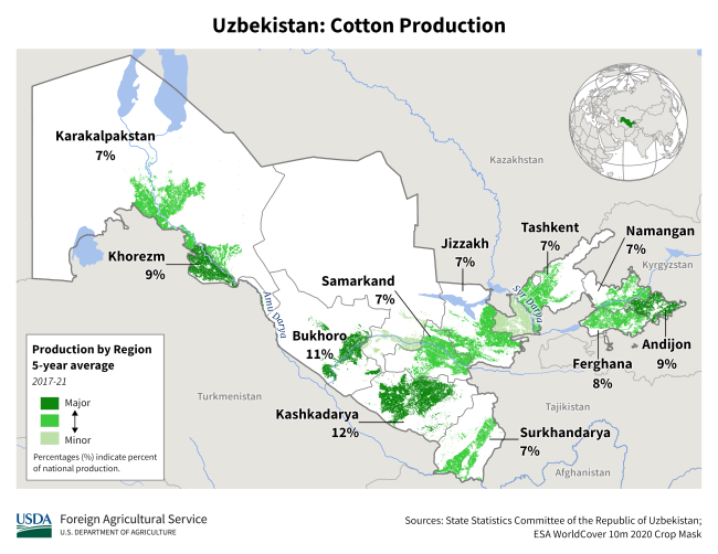 Uzbekistan Cotton