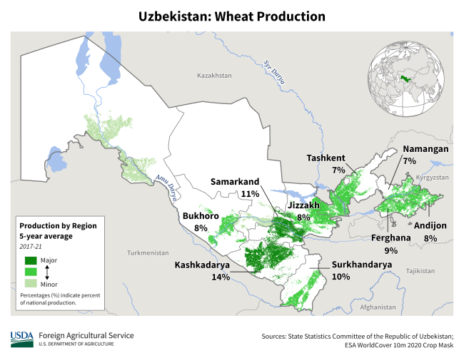 Uzbekistan Wheat