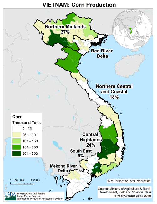 Vietnam Corn