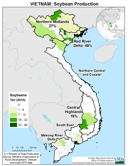 Vietnam Soybeans