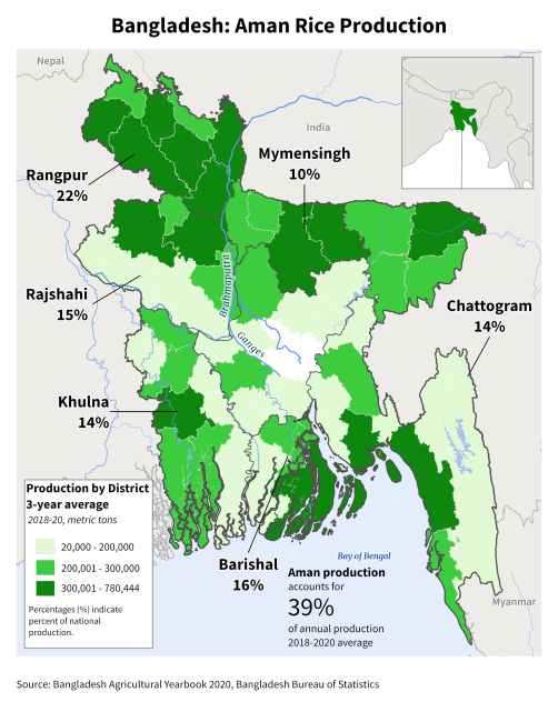 Bangladesh Aman Season Rice