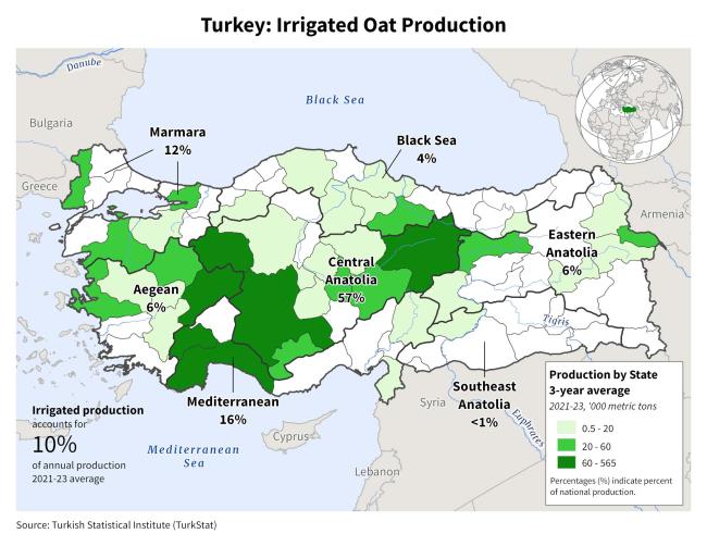 Türkiye Irrigated Oats