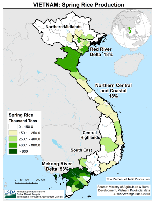 Vietnam Spring Rice